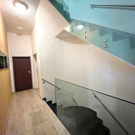 5 Rent Center Lugano